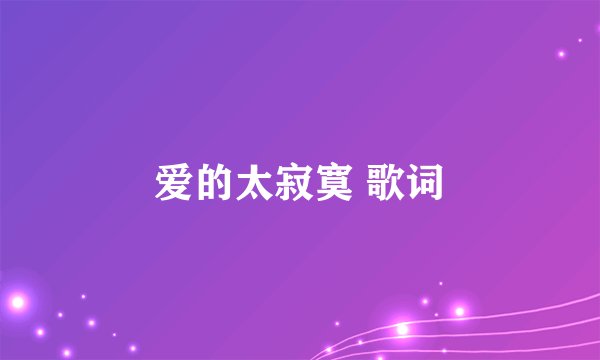 爱的太寂寞 歌词