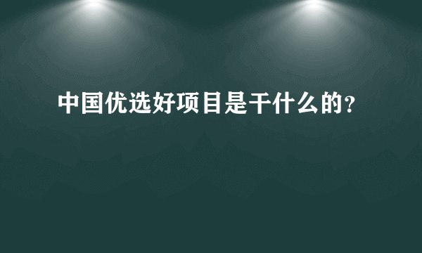 中国优选好项目是干什么的？