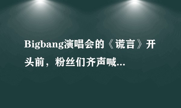Bigbang演唱会的《谎言》开头前，粉丝们齐声喊的口号是什么？