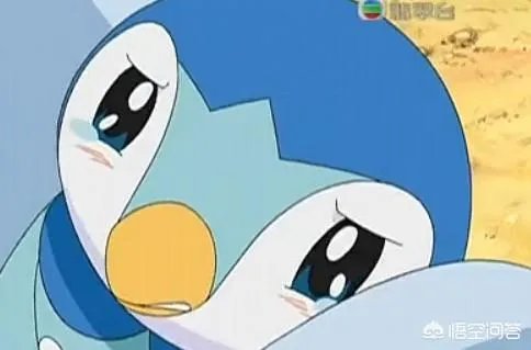《神奇宝贝》中哪一部最好看?你更喜欢哪个女主?