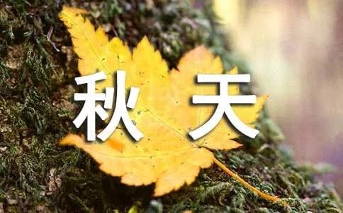 秋天的现代诗歌