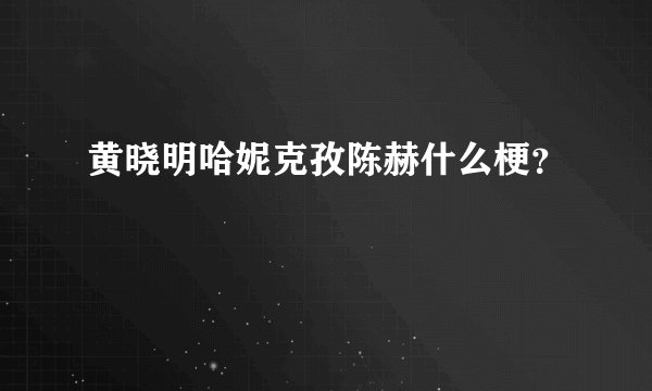 黄晓明哈妮克孜陈赫什么梗？