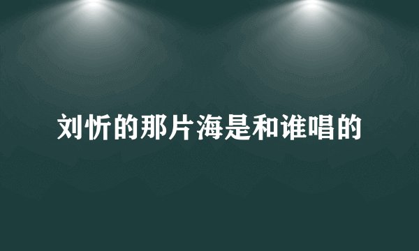 刘忻的那片海是和谁唱的