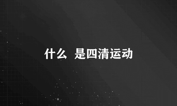 什么  是四清运动