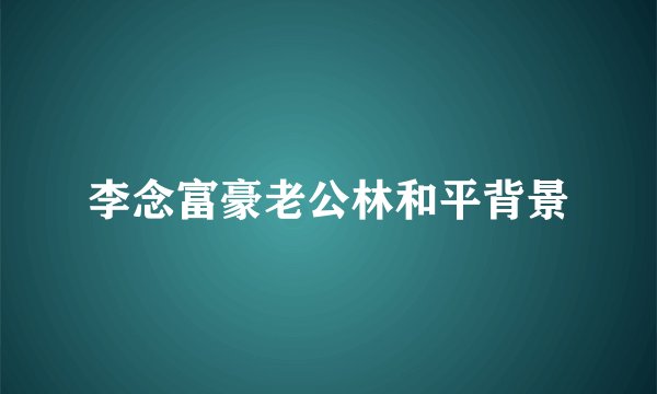 李念富豪老公林和平背景