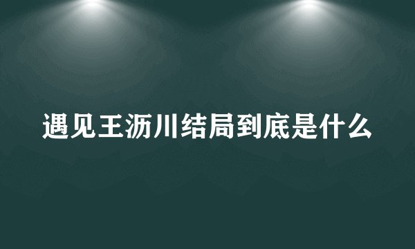 遇见王沥川结局到底是什么