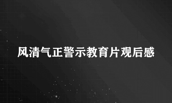 风清气正警示教育片观后感