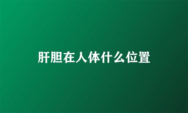 肝胆在人体什么位置