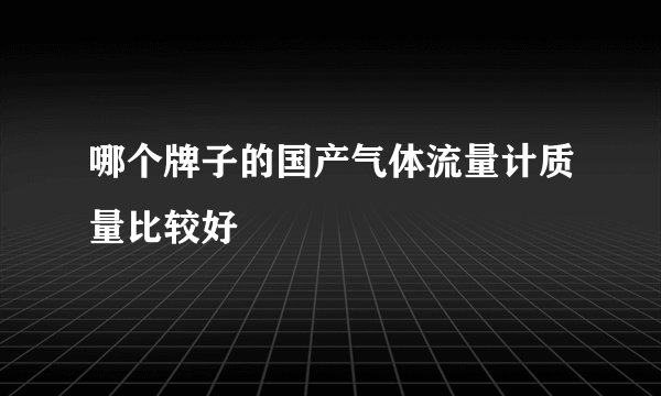 哪个牌子的国产气体流量计质量比较好