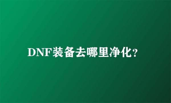 DNF装备去哪里净化？