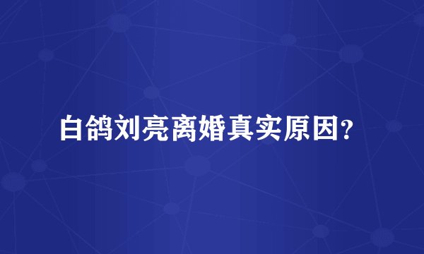 白鸽刘亮离婚真实原因？