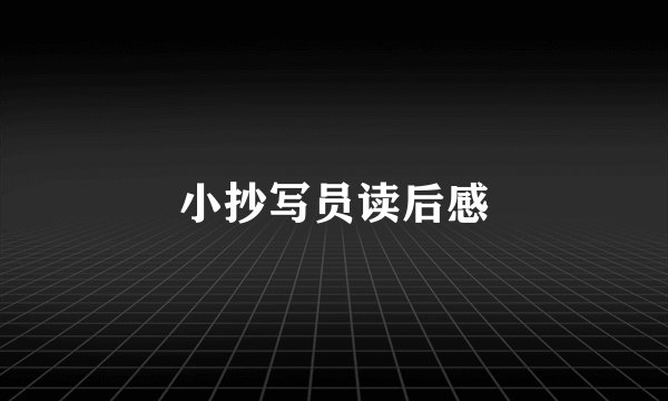 小抄写员读后感