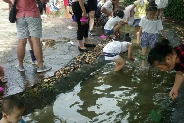 海上田园有什么好玩的,值得去吗?