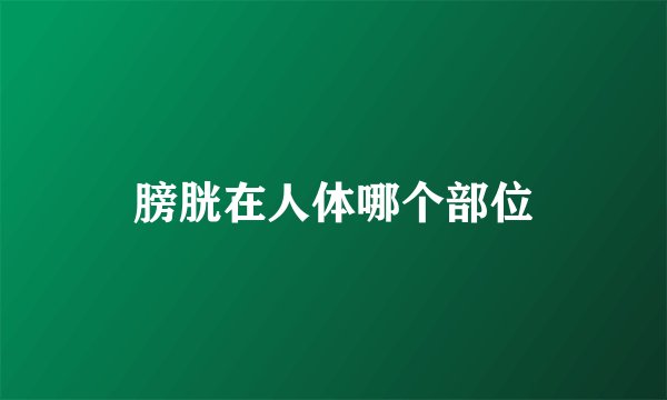 膀胱在人体哪个部位