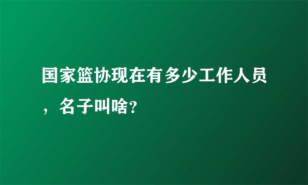 国家篮协现在有多少工作人员，名子叫啥？