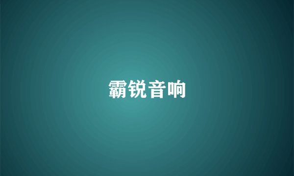 霸锐音响