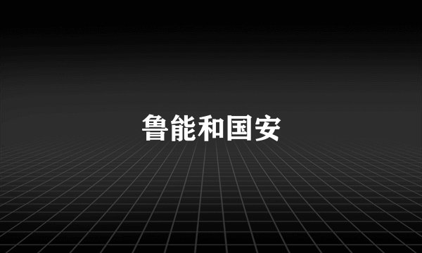 鲁能和国安