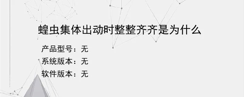 蝗虫集体出动时整整齐齐是为什么？