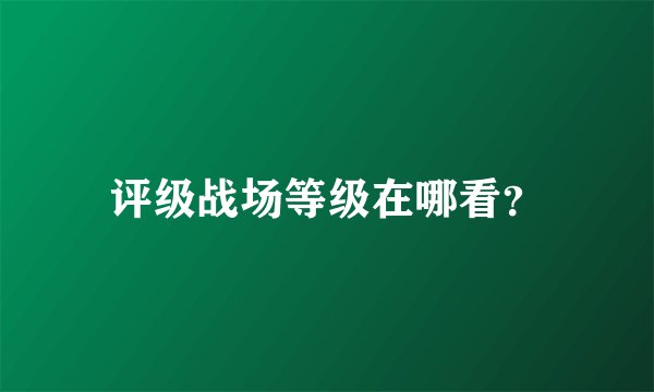 评级战场等级在哪看？