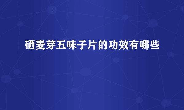 硒麦芽五味子片的功效有哪些