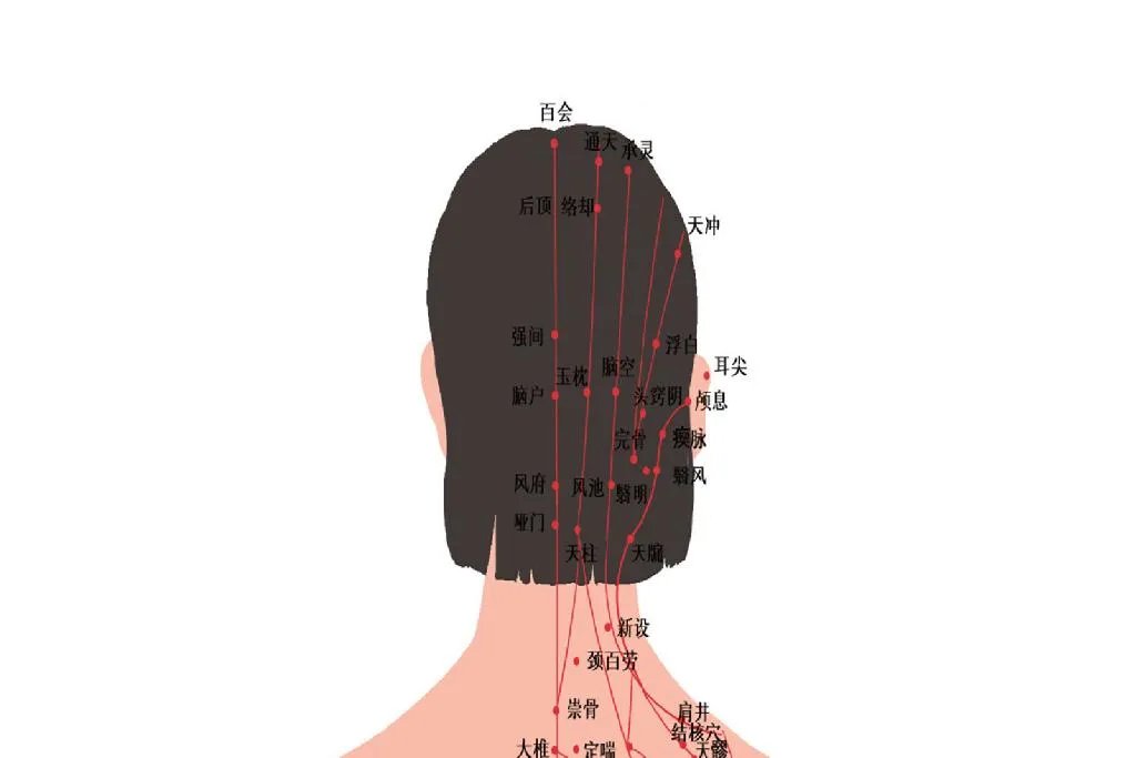 人体经络示意图