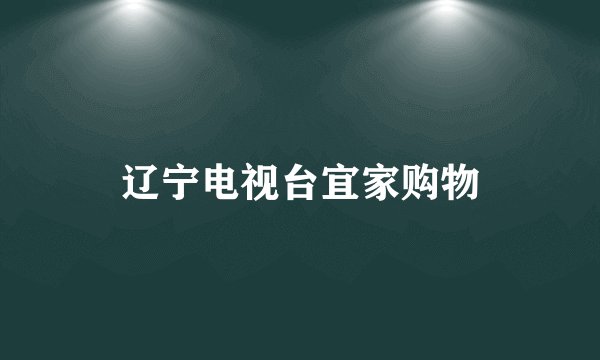 辽宁电视台宜家购物