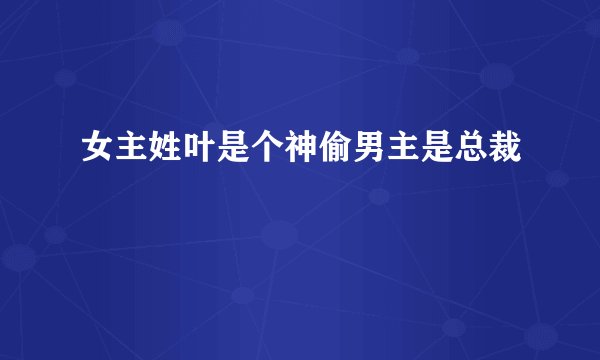 女主姓叶是个神偷男主是总裁