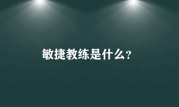 敏捷教练是什么？