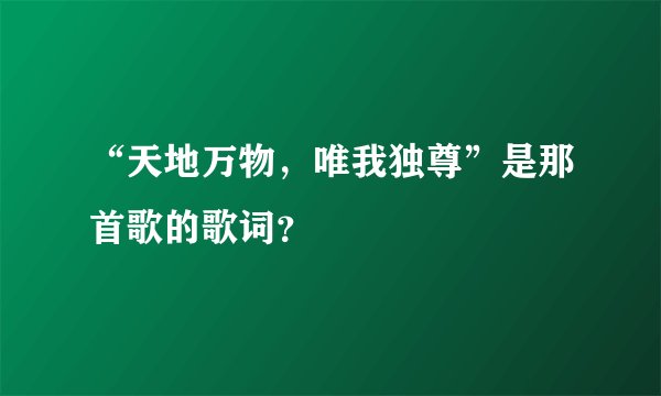 “天地万物，唯我独尊”是那首歌的歌词？