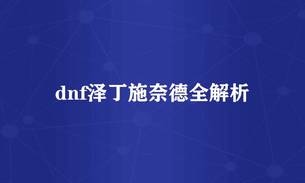dnf泽丁施奈德全解析