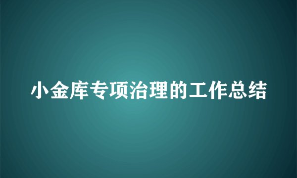 小金库专项治理的工作总结