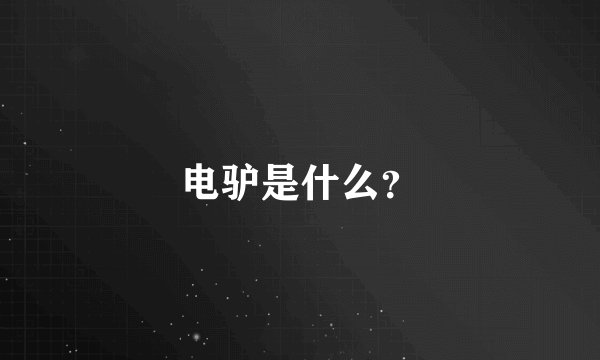 电驴是什么？