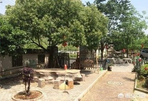 乡村旅游景区如何提升规划设计?