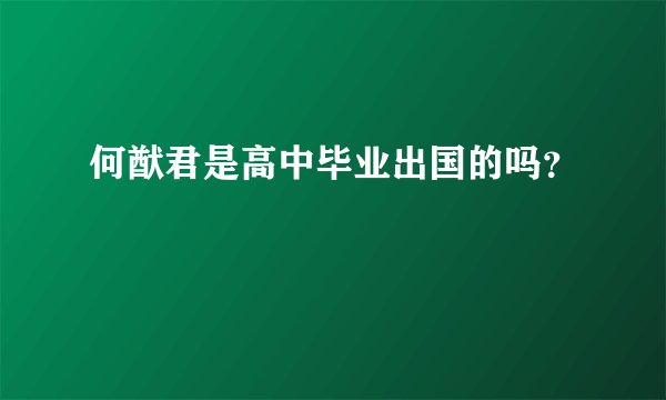 何猷君是高中毕业出国的吗？