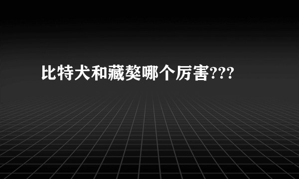 比特犬和藏獒哪个厉害???