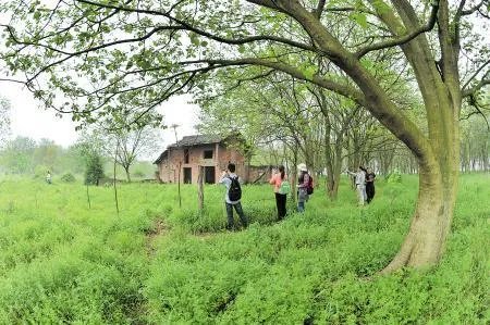 湖南宁乡县都设市了,长沙县改区为什么推动不了?