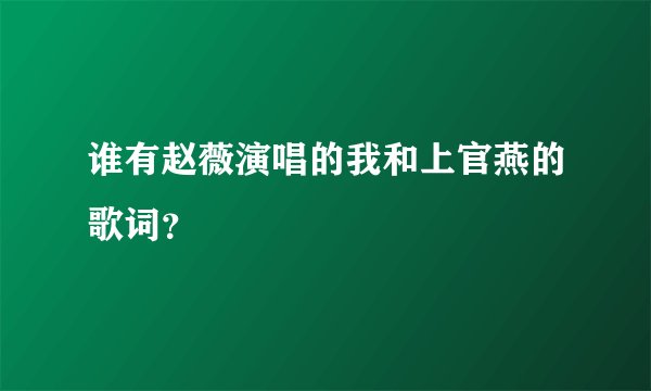 谁有赵薇演唱的我和上官燕的歌词？