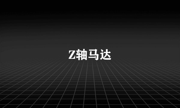 Z轴马达