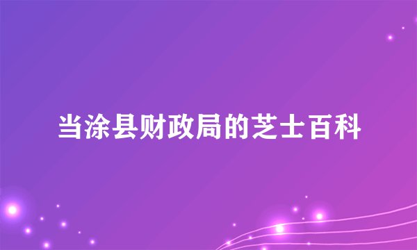 当涂县财政局的芝士百科