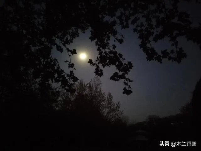 生活摄影艺术