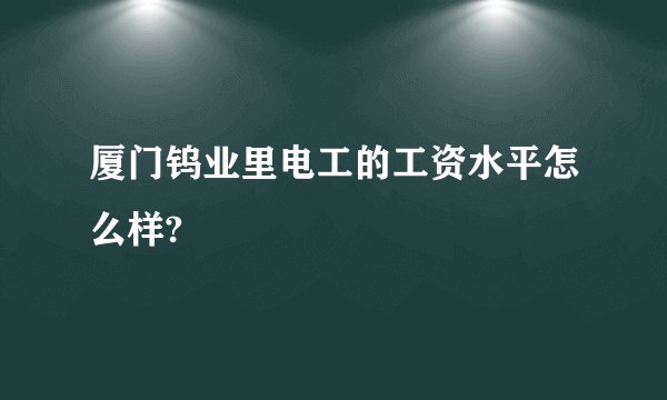 厦门钨业里电工的工资水平怎么样?