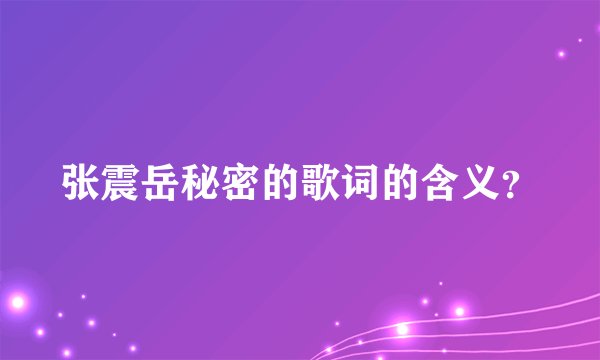 张震岳秘密的歌词的含义？
