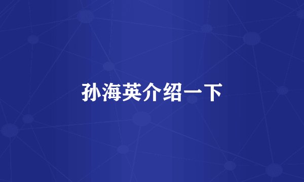 孙海英介绍一下