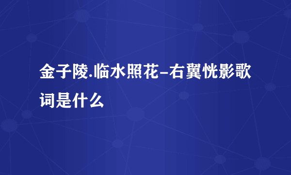 金子陵.临水照花-右翼恍影歌词是什么
