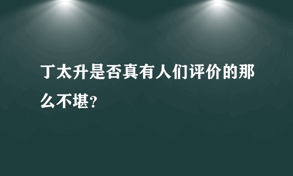 丁太升是否真有人们评价的那么不堪?