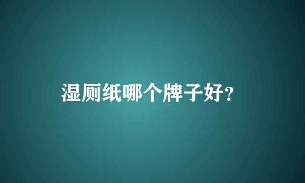 湿厕纸哪个牌子好？