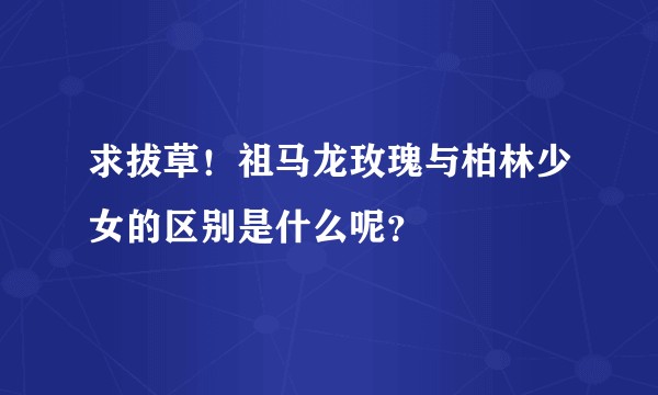 求拔草！祖马龙玫瑰与柏林少女的区别是什么呢？