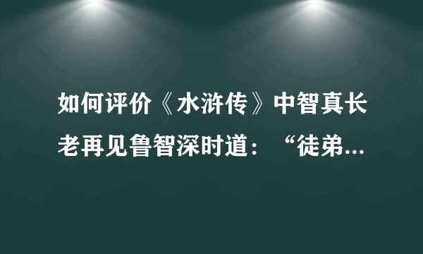 如何评价《水浒传》中智真长老再见鲁智深时道：“徒弟一去数年，杀人放火不易”？