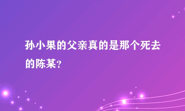 孙小果的父亲真的是那个死去的陈某？