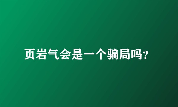 页岩气会是一个骗局吗？